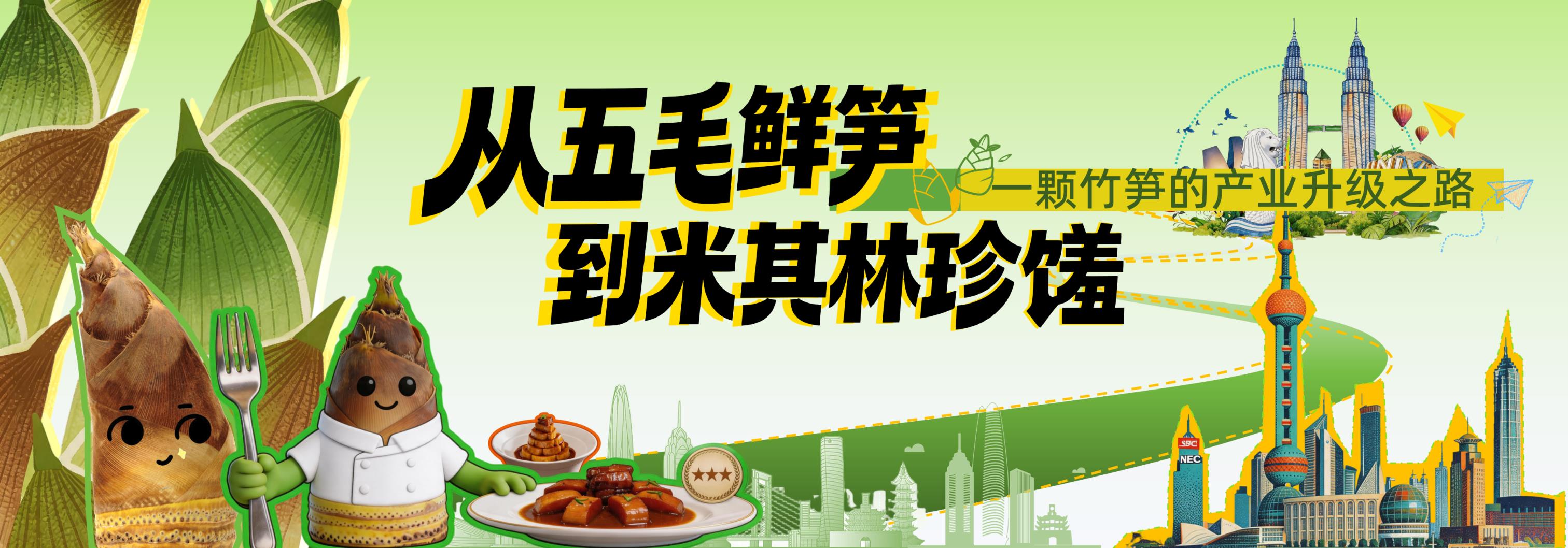 一个竹笋的升级之路PPT推介会